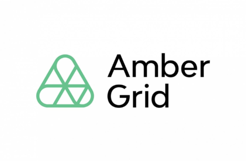Amber Grid kursų atsiliepimas